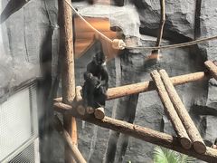 -武汉动物园