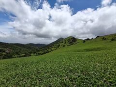 -大姆山草场