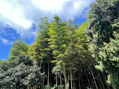 -莫干山风景区