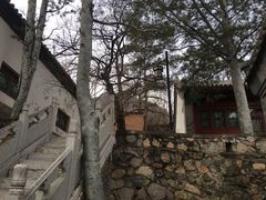 -北京鹫峰国家森林公园
