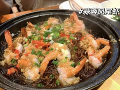 -紫光园(全国总店)