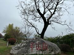 -羊山湖公园