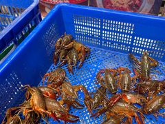 -阿财老铺·老蚌埠龙虾城(华夏总店)