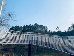 -黄龙溪欢乐田园