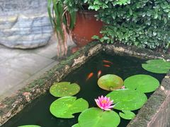 -海窝子古镇