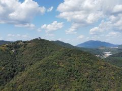 -黄贤森林公园