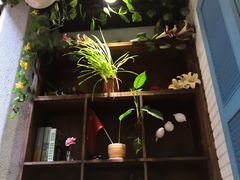 -杨小贤(五店市店)
