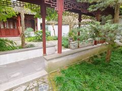 -秋霞圃