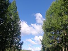 -塞罕坝国家级自然保护区