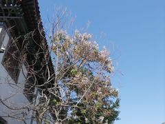 -滦州古城