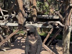 -长鹿旅游休博园