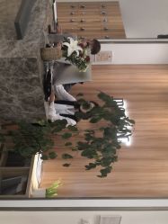 点击看大图 -Mentor Hair Salon