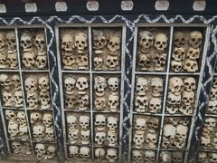 -比如骷髅墙景区