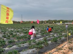 -长洲岛都市农业公园