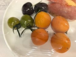 -安琪朵朵独栋花园月子中心