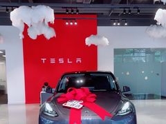 -TESLA 特斯拉(深圳观澜特斯拉直营钣喷中心)