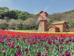 -苏州上方山国家森林公园