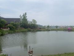 -池州市平天湖风景区