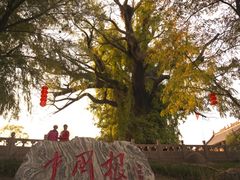 -大槐树寻根祭祖园