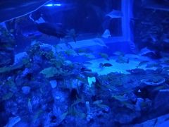 -成都浩海立方海洋公园