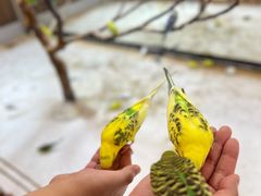 -上海大自然野生昆虫馆