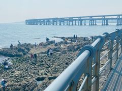 -星海湾跨海大桥