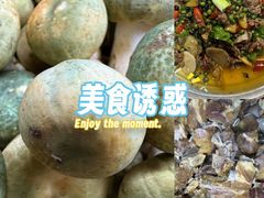 -三锅莊·牦牛肉火锅·香格里拉特色藏餐宴请餐厅(昆明创始店)