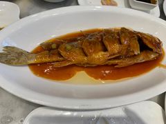 茄汁大黄鱼-燕云楼(云南路店)