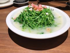 -首秀·四川料理(星耀101店)
