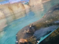 -福州罗源湾海洋世界旅游区