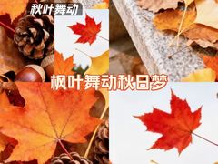 -东莞植物园