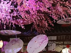 -韵秋荷(宝山龙湖天街店)