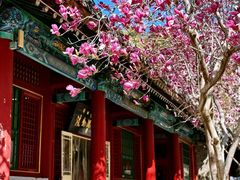 -潭柘寺景区