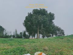 -良渚古城遗址公园