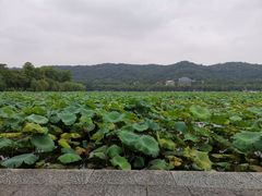 -杭州萧山国际机场