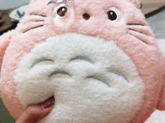 -PAWTOY爪e玩偶店(天兴罗斯福店)