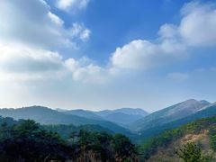 -金龙寺国家森林公园