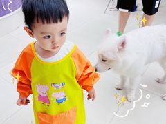 -怪兽屋·羊驼·猫咖·狗咖(俊华广场店)