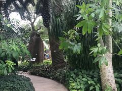 -北京植物园-展览温室