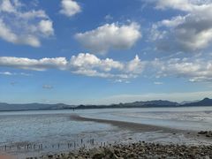 -深圳湾公园(南山区)