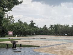 -万绿园