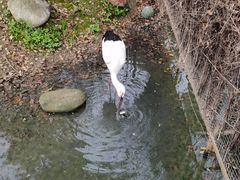 -常州淹城野生动物世界