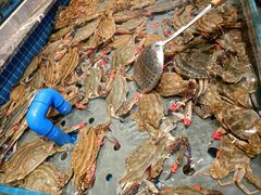 -一方渔歌蒸汽海鲜自助(文化路万达广场店)