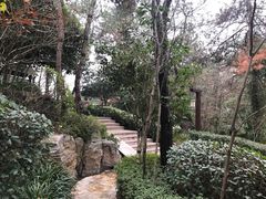 -天目湖涵田半山温泉