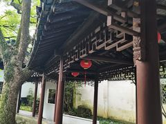 -上海醉白池公园