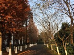 -太阳岛度假酒店