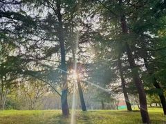 -汉长安城未央宫国家考古遗址公园