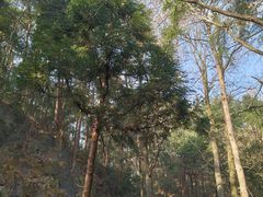 -南岳衡山风景名胜区