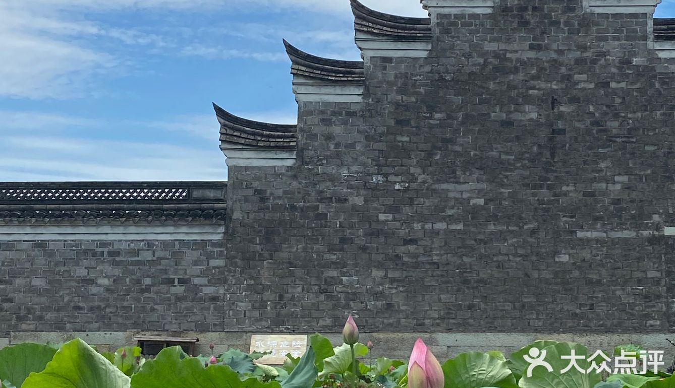 宁波｜总该为了这片荷花池来喝一杯荷塘咖啡吧