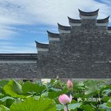 宁波｜总该为了这片荷花池来喝一杯荷塘咖啡吧